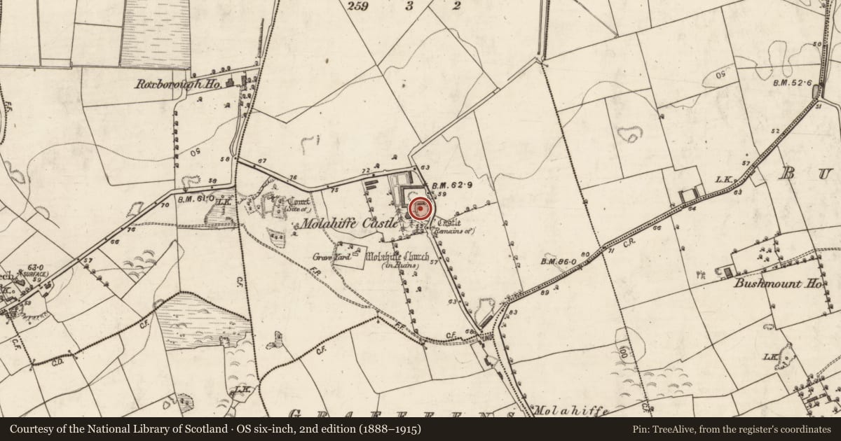 Ordnance Survey six-inch map, 2nd edition (1888–1915) covering the location of Castle - ringwork, Castlefarm, County Kerry, with a pin at the register's coordinates