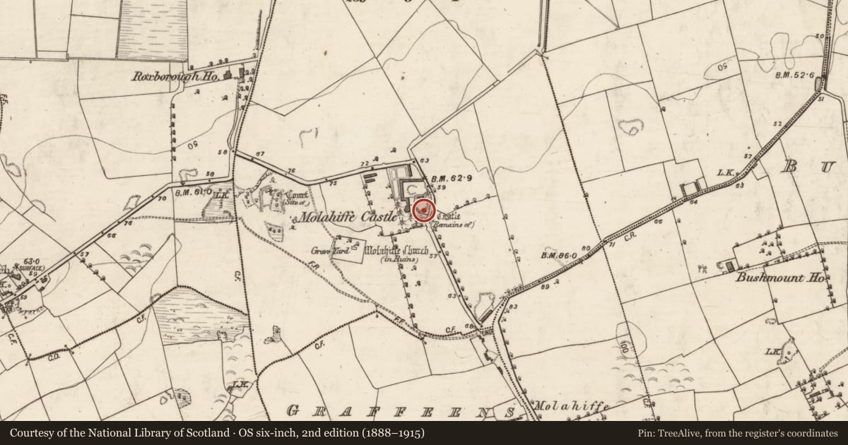Ordnance Survey six-inch map, 2nd edition (1888–1915) covering the location of Castle - tower house, Castlefarm, County Kerry, with a pin at the register's coordinates