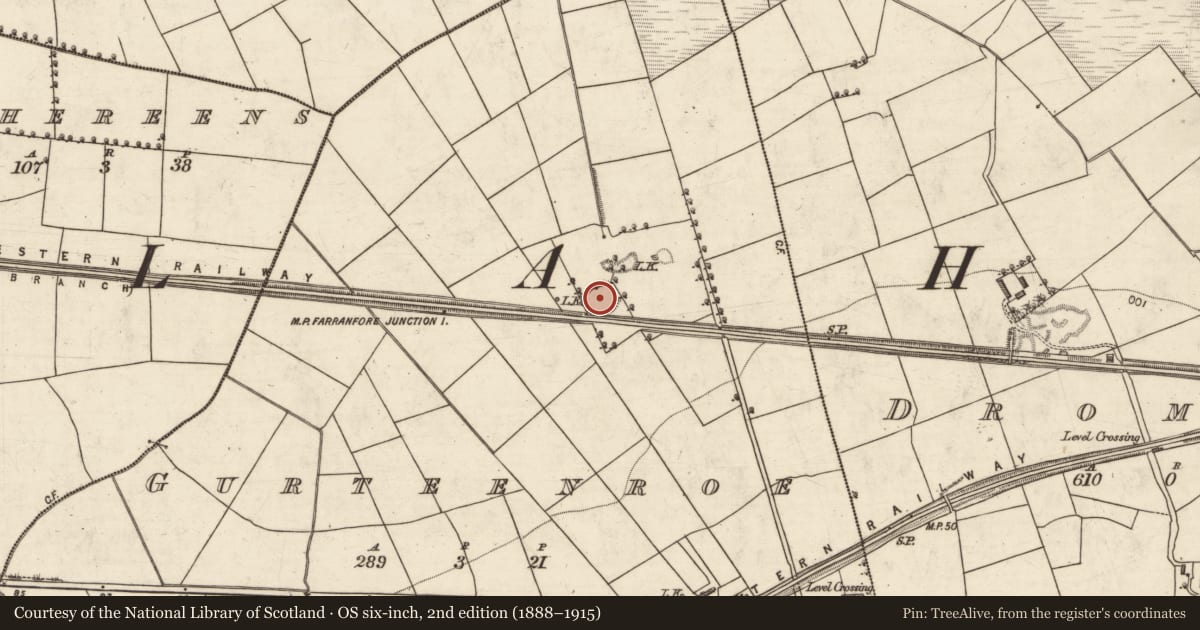 Ordnance Survey six-inch map, 2nd edition (1888–1915) covering the location of Ringfort - rath, Gurteenroe, County Kerry, with a pin at the register's coordinates