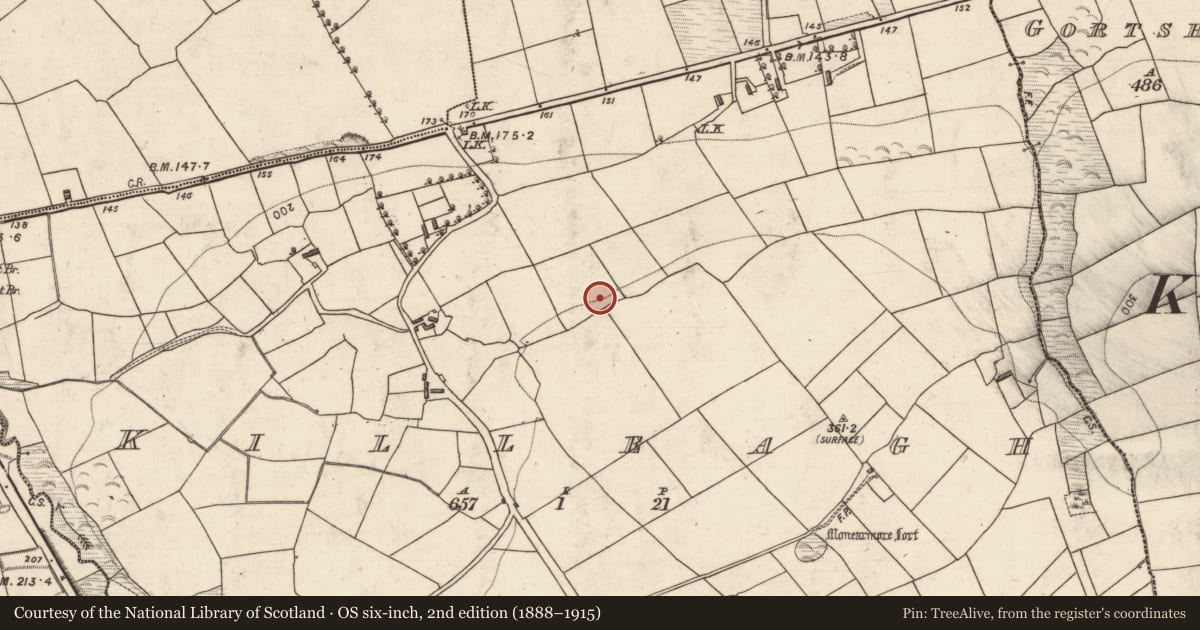 Ordnance Survey six-inch map, 2nd edition (1888–1915) covering the location of Moated site, Killeagh, County Kerry, with a pin at the register's coordinates