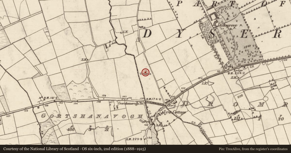Ordnance Survey six-inch map, 2nd edition (1888–1915) covering the location of Standing stone, Parknasmuttaun, County Kerry, with a pin at the register's coordinates