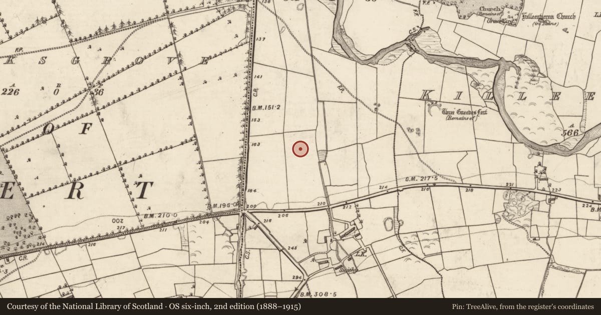 Ordnance Survey six-inch map, 2nd edition (1888–1915) covering the location of Ringfort - rath, Ranalough, County Kerry, with a pin at the register's coordinates