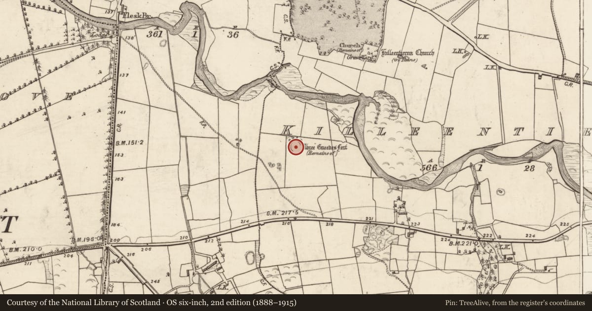 Ordnance Survey six-inch map, 2nd edition (1888–1915) covering the location of Ringfort - rath, Killeentierna, County Kerry, with a pin at the register's coordinates