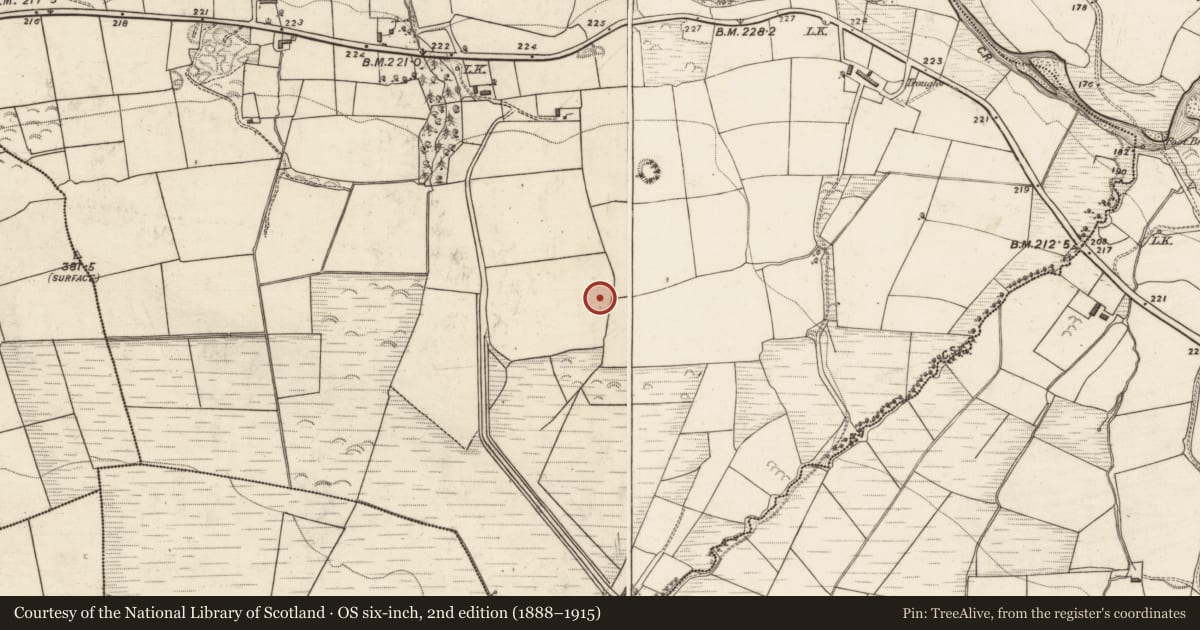 Ordnance Survey six-inch map, 2nd edition (1888–1915) covering the location of Souterrain, Killeentierna, County Kerry, with a pin at the register's coordinates