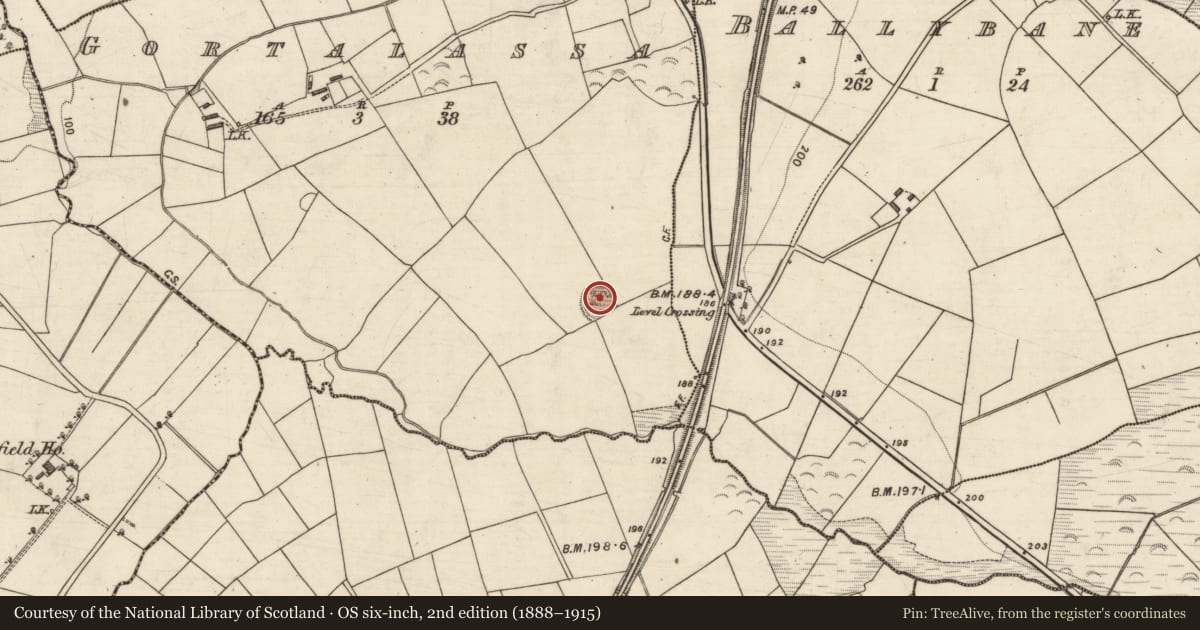Ordnance Survey six-inch map, 2nd edition (1888–1915) covering the location of Ringfort - rath, Gortalassa, County Kerry, with a pin at the register's coordinates