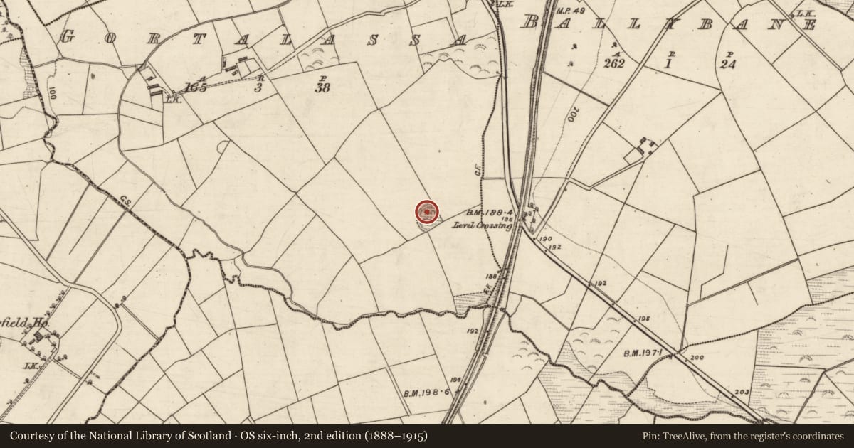 Ordnance Survey six-inch map, 2nd edition (1888–1915) covering the location of Souterrain, Gortalassa, County Kerry, with a pin at the register's coordinates