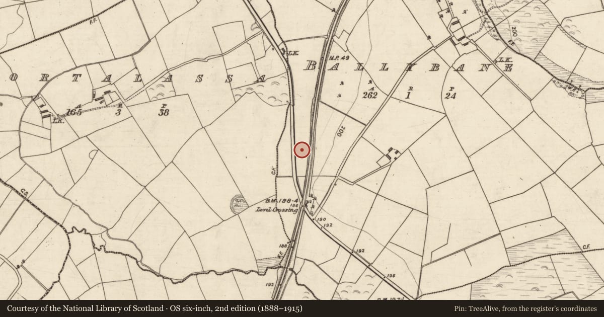 Ordnance Survey six-inch map, 2nd edition (1888–1915) covering the location of Enclosure, Ballybane, County Kerry, with a pin at the register's coordinates