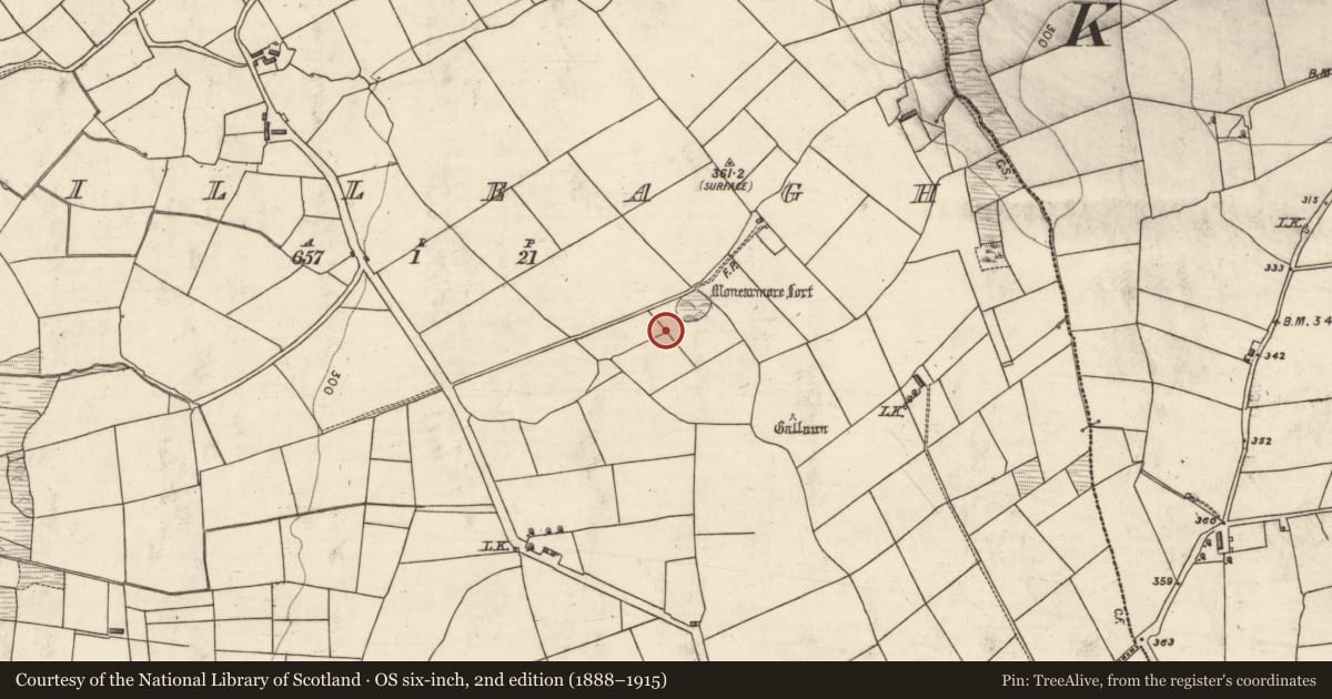 Ordnance Survey six-inch map, 2nd edition (1888–1915) covering the location of Fulacht fia, Killeagh, County Kerry, with a pin at the register's coordinates
