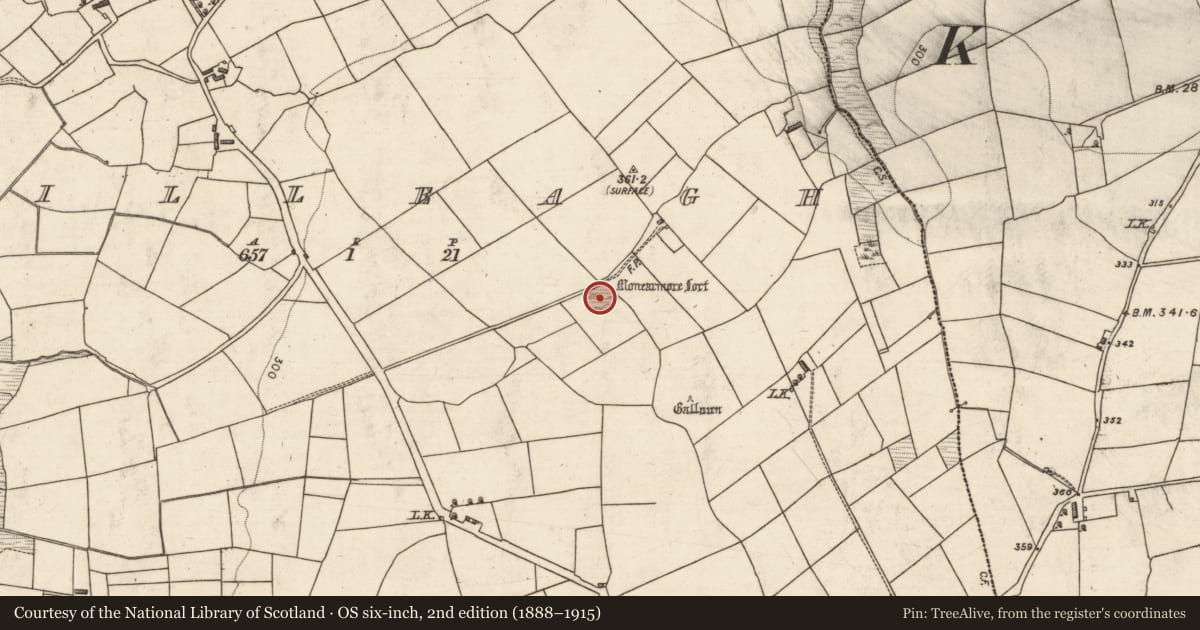 Ordnance Survey six-inch map, 2nd edition (1888–1915) covering the location of Souterrain, Killeagh, County Kerry, with a pin at the register's coordinates