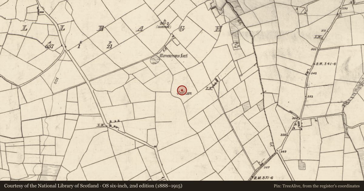 Ordnance Survey six-inch map, 2nd edition (1888–1915) covering the location of Standing stone, Killeagh, County Kerry, with a pin at the register's coordinates