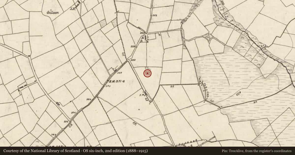 Ordnance Survey six-inch map, 2nd edition (1888–1915) covering the location of Souterrain, Gortshanavogh, County Kerry, with a pin at the register's coordinates