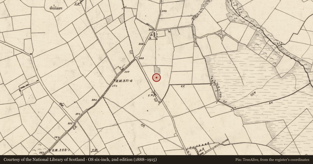Ordnance Survey six-inch map, 2nd edition (1888–1915) covering the location of Children's burial ground, Gortshanavogh, County Kerry, with a pin at the register's coordinates