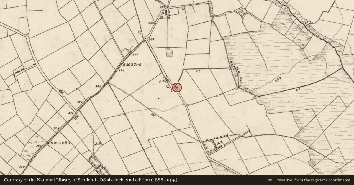 Ordnance Survey six-inch map, 2nd edition (1888–1915) covering the location of Burnt spread, Rossanean (Magunihy By., Killeentierna Par.), County Kerry, with a pin at the register's coordinates