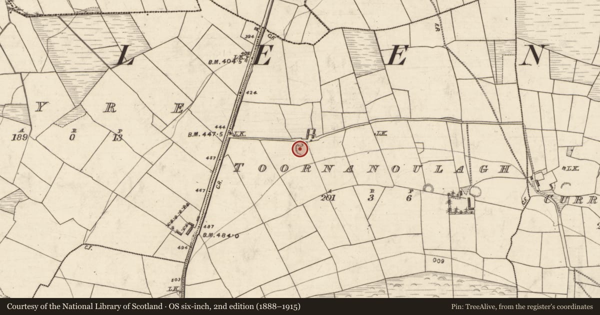 Ordnance Survey six-inch map, 2nd edition (1888–1915) covering the location of Ringfort - rath, Toornanoulagh, County Kerry, with a pin at the register's coordinates