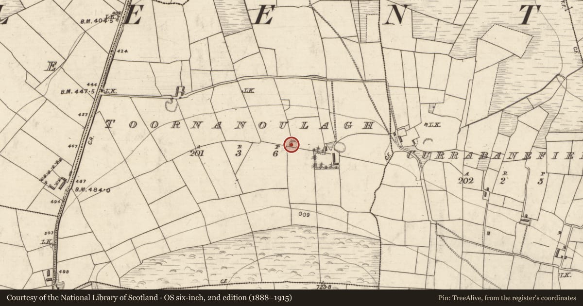 Ordnance Survey six-inch map, 2nd edition (1888–1915) covering the location of Earthwork, Toornanoulagh, County Kerry, with a pin at the register's coordinates