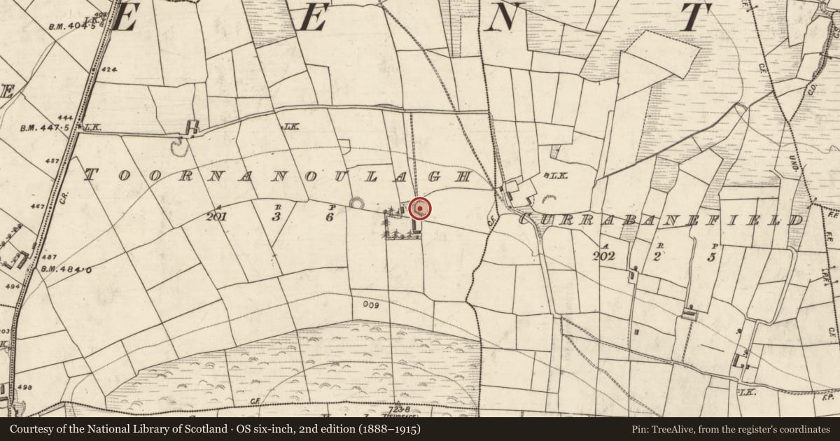 Ordnance Survey six-inch map, 2nd edition (1888–1915) covering the location of Ringfort - rath, Toornanoulagh, County Kerry, with a pin at the register's coordinates