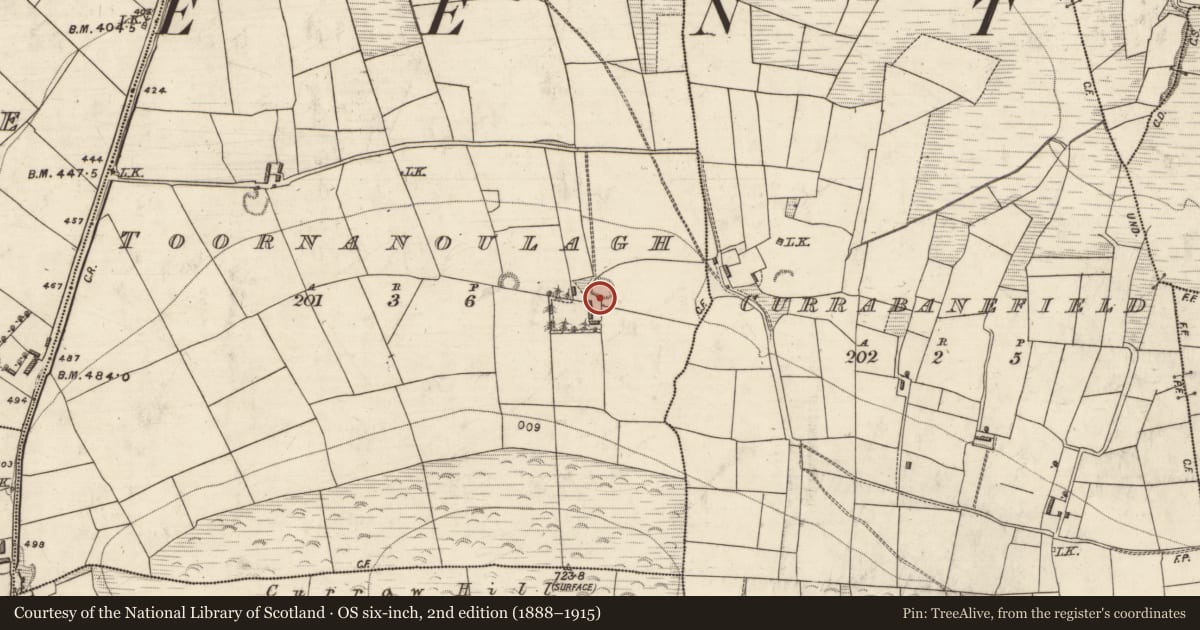 Ordnance Survey six-inch map, 2nd edition (1888–1915) covering the location of Ogham stone (present location), Toornanoulagh, County Kerry, with a pin at the register's coordinates