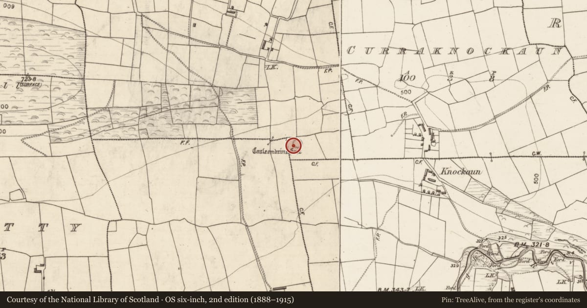 Ordnance Survey six-inch map, 2nd edition (1888–1915) covering the location of Enclosure, Currabanefield, County Kerry, with a pin at the register's coordinates