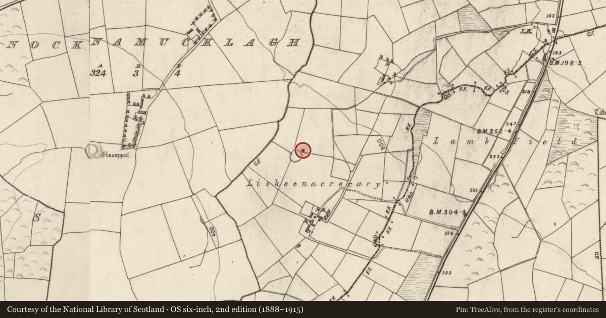 Ordnance Survey six-inch map, 2nd edition (1888–1915) covering the location of Souterrain, Gortdromerillagh, County Kerry, with a pin at the register's coordinates