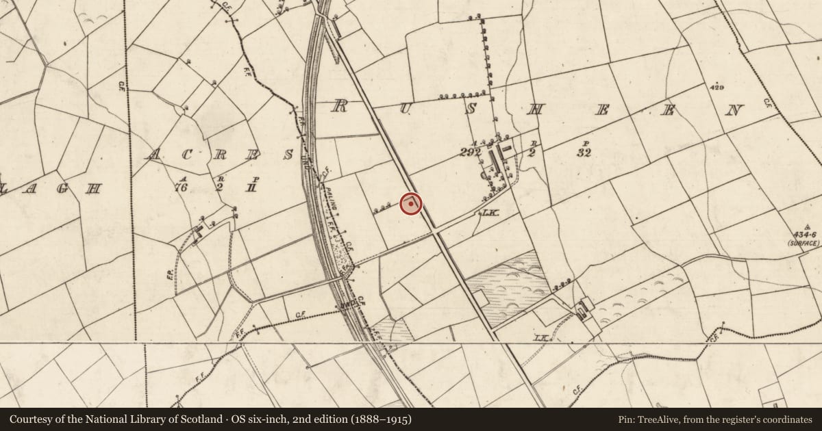 Ordnance Survey six-inch map, 2nd edition (1888–1915) covering the location of Earthwork, Rusheen, County Kerry, with a pin at the register's coordinates
