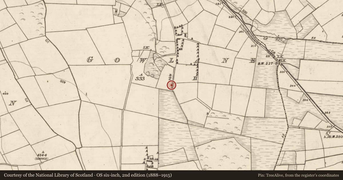 Ordnance Survey six-inch map, 2nd edition (1888–1915) covering the location of Burnt spread, Gowlane, County Kerry, with a pin at the register's coordinates