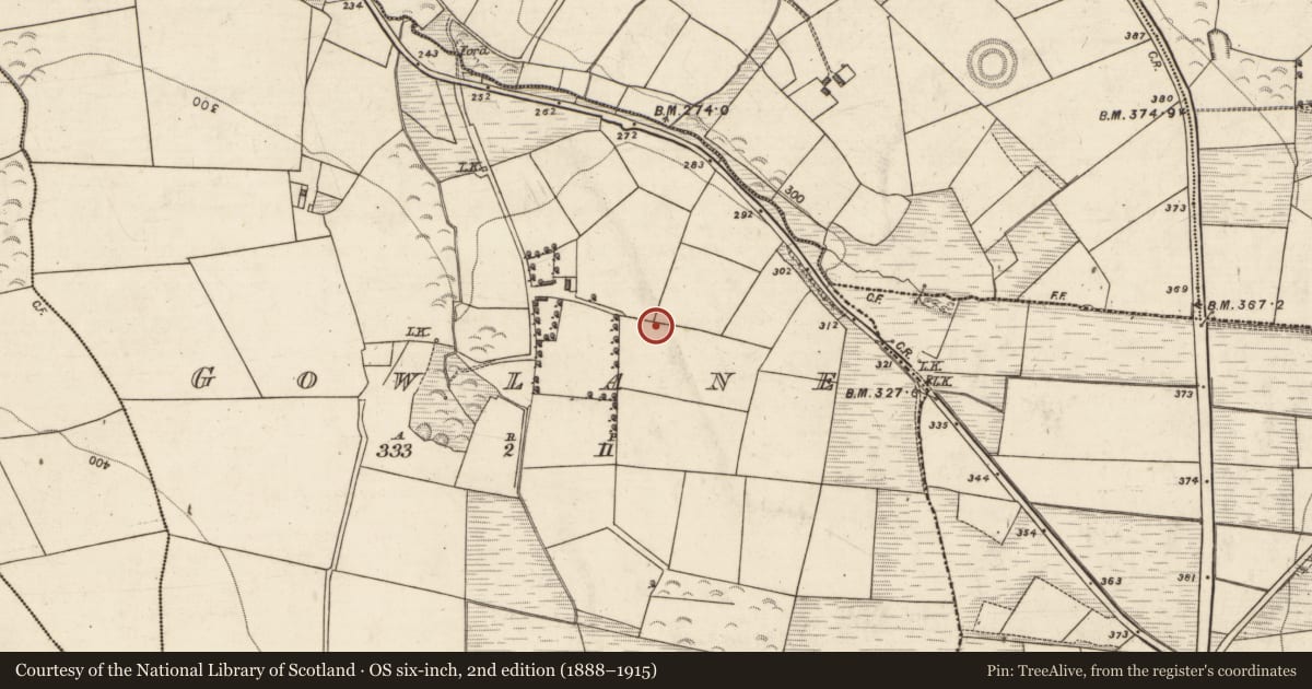 Ordnance Survey six-inch map, 2nd edition (1888–1915) covering the location of Ringfort - rath, Gowlane, County Kerry, with a pin at the register's coordinates