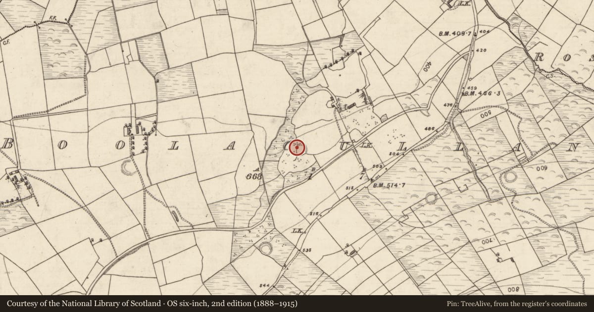 Ordnance Survey six-inch map, 2nd edition (1888–1915) covering the location of Souterrain, Boolacullane, County Kerry, with a pin at the register's coordinates