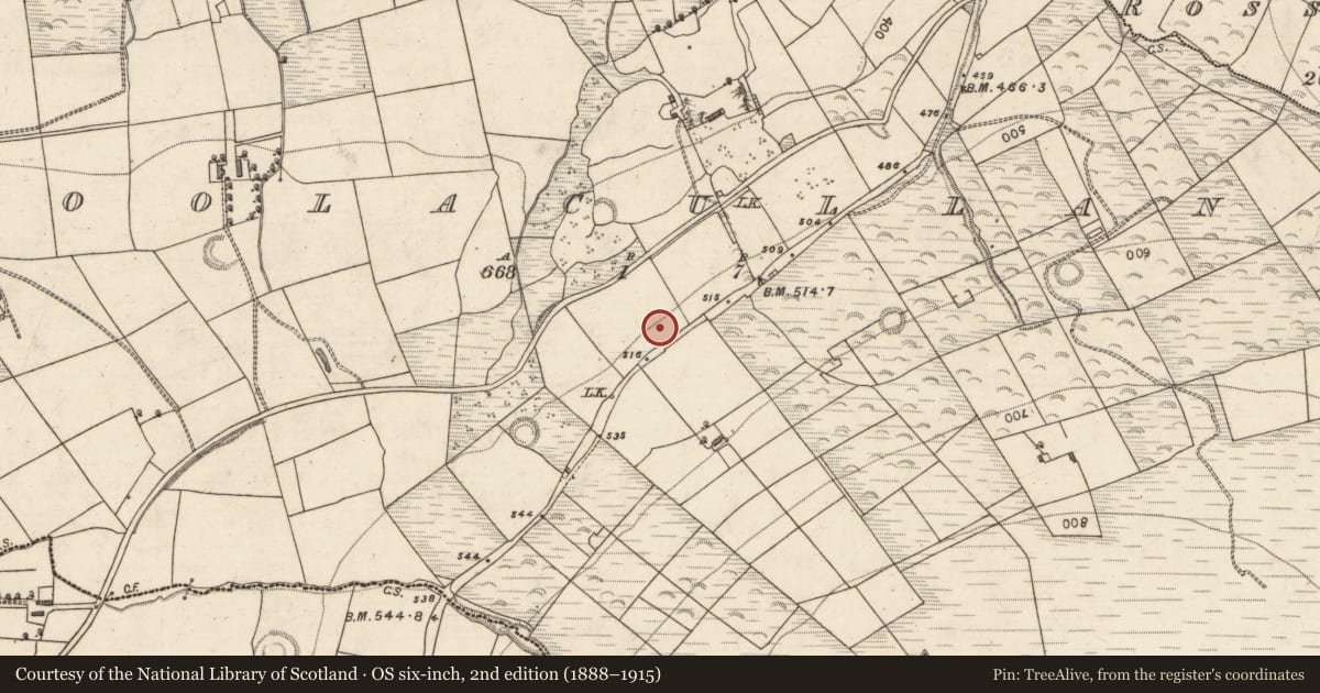 Ordnance Survey six-inch map, 2nd edition (1888–1915) covering the location of Souterrain, Boolacullane, County Kerry, with a pin at the register's coordinates