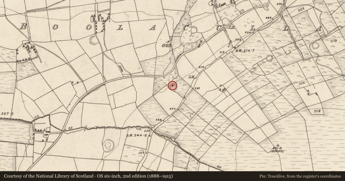 Ordnance Survey six-inch map, 2nd edition (1888–1915) covering the location of Children's burial ground, Boolacullane, County Kerry, with a pin at the register's coordinates