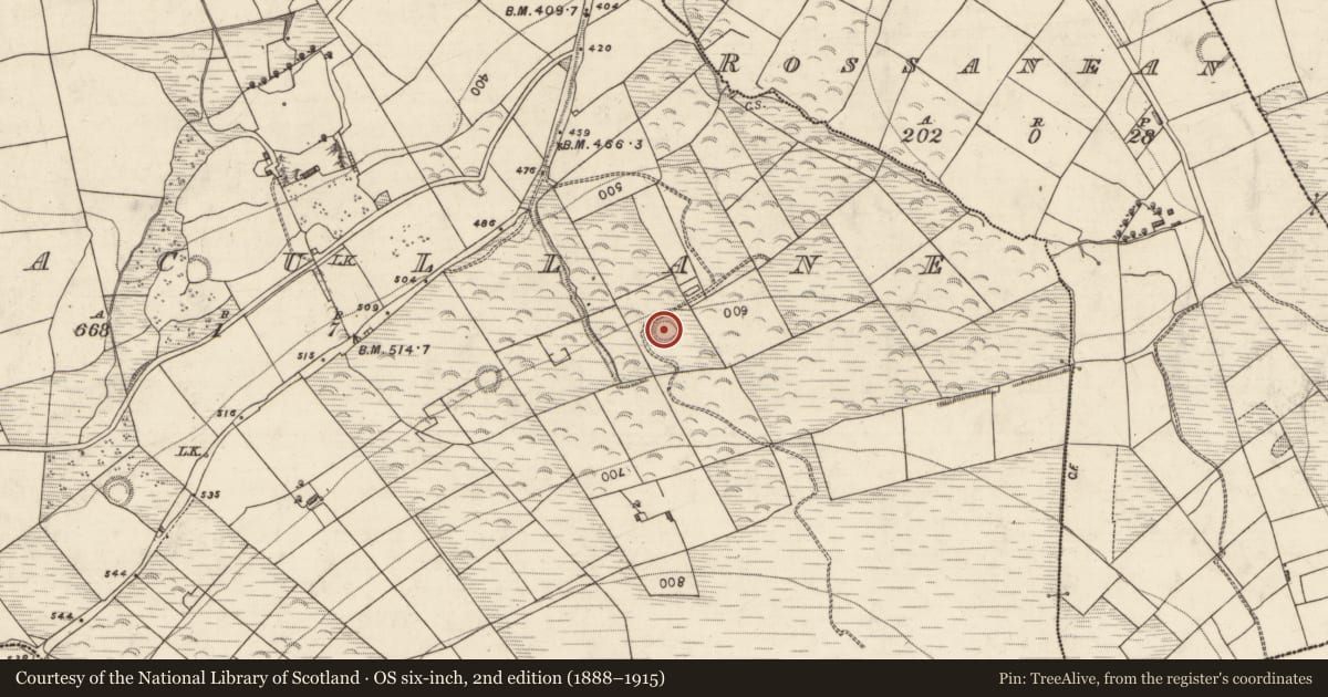 Ordnance Survey six-inch map, 2nd edition (1888–1915) covering the location of Ringfort - rath, Boolacullane, County Kerry, with a pin at the register's coordinates
