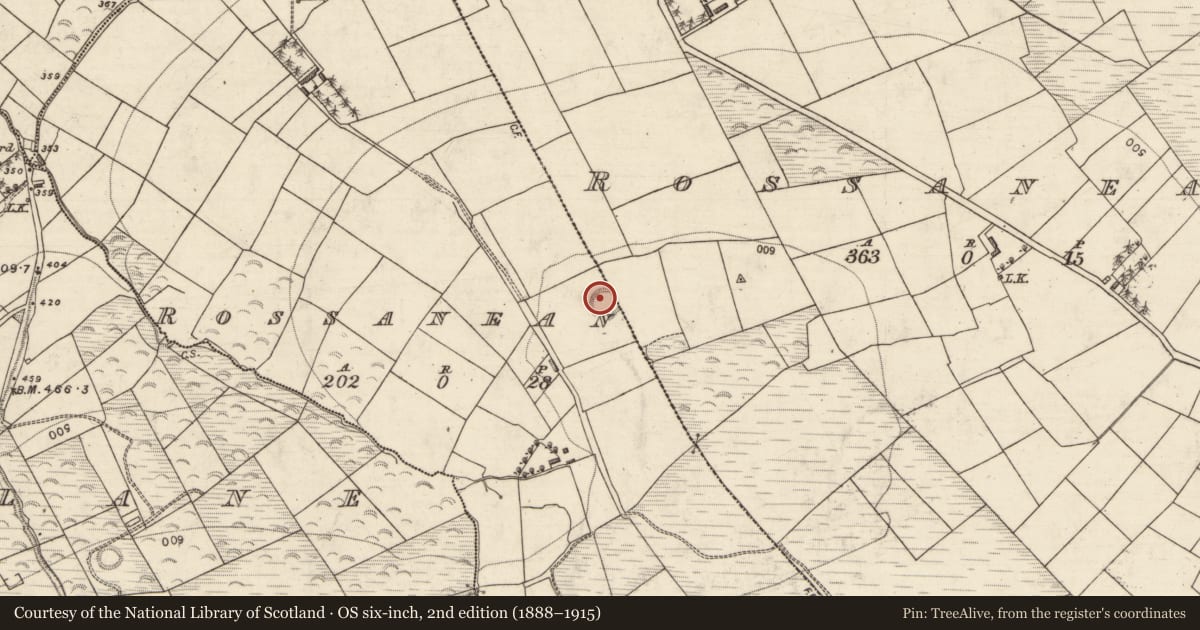 Ordnance Survey six-inch map, 2nd edition (1888–1915) covering the location of Hut site, Rossanean (Magunihy By., Molahiffe Par.), County Kerry, with a pin at the register's coordinates