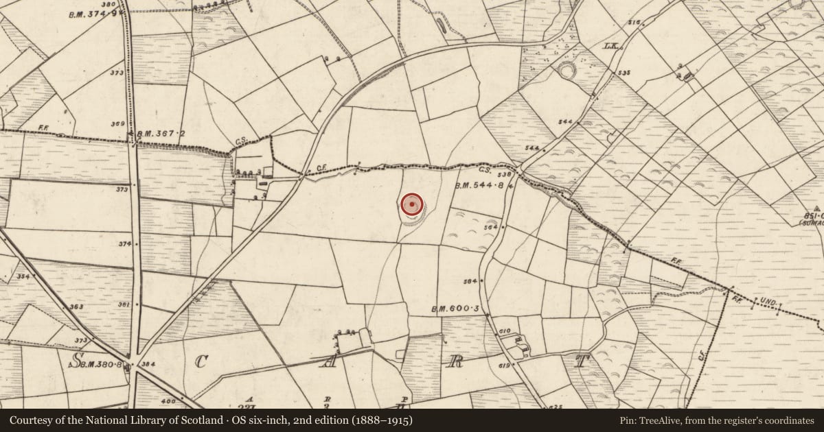 Ordnance Survey six-inch map, 2nd edition (1888–1915) covering the location of Ringfort - rath, Scart, County Kerry, with a pin at the register's coordinates