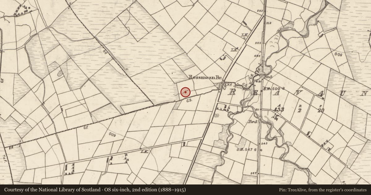 Ordnance Survey six-inch map, 2nd edition (1888–1915) covering the location of Fulacht fia, Rossanean (Magunihy By., Killeentierna Par.), County Kerry, with a pin at the register's coordinates