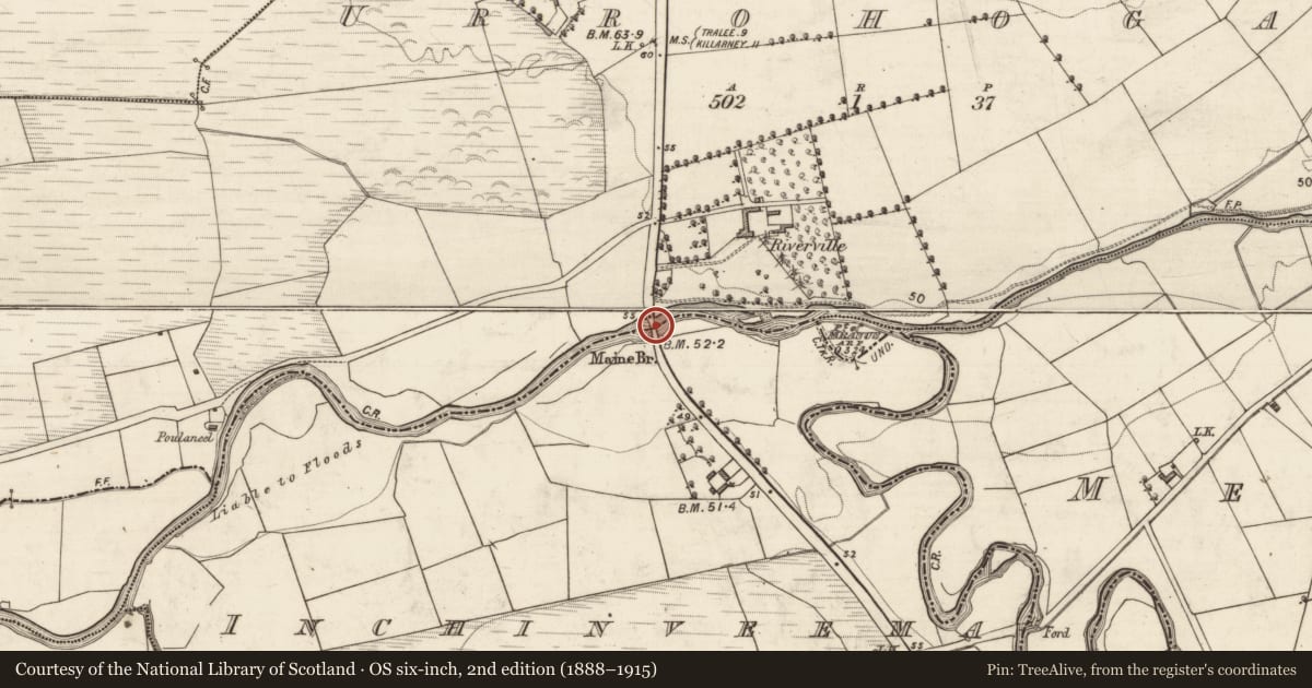 Ordnance Survey six-inch map, 2nd edition (1888–1915) covering the location of Bridge, Urrohogal, Inchinveema, County Kerry, with a pin at the register's coordinates