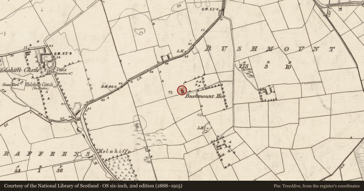 Ordnance Survey six-inch map, 2nd edition (1888–1915) covering the location of House - 17th century, Bushmount, County Kerry, with a pin at the register's coordinates