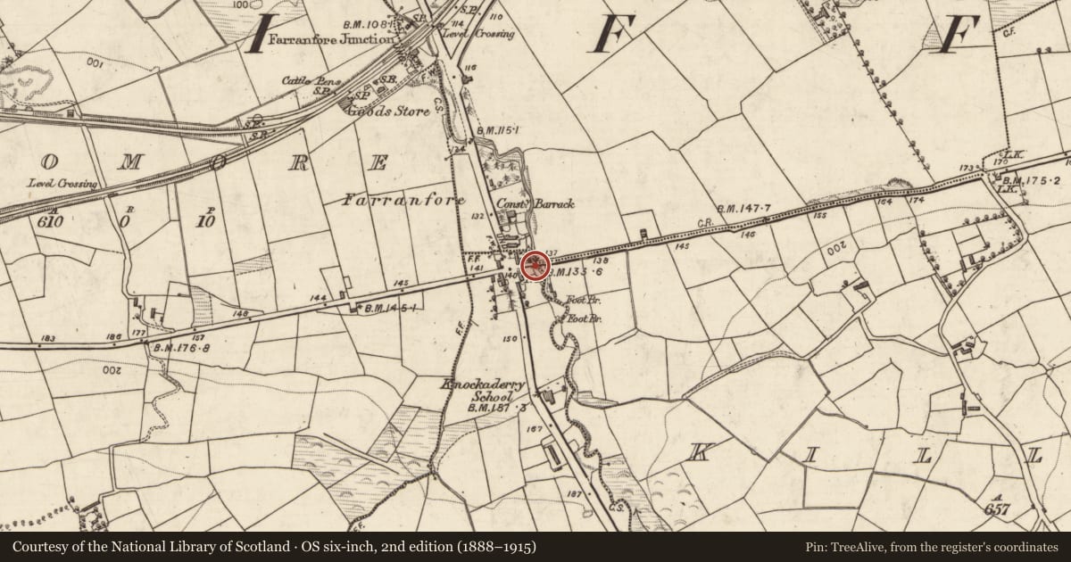 Ordnance Survey six-inch map, 2nd edition (1888–1915) covering the location of Bridge, County Kerry, with a pin at the register's coordinates