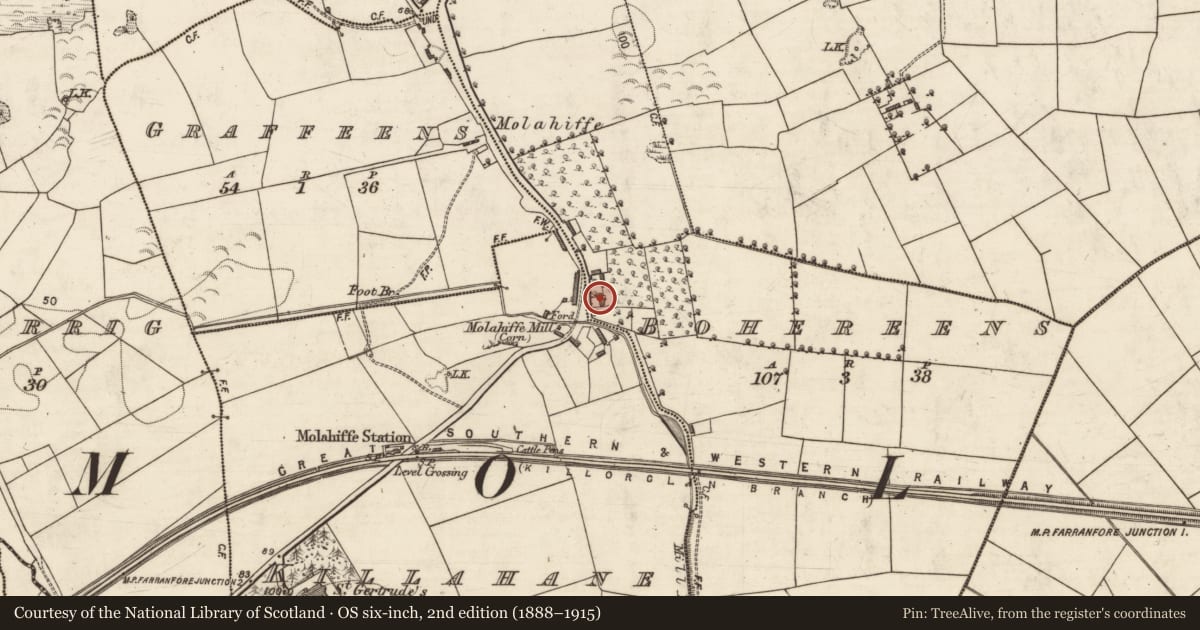 Ordnance Survey six-inch map, 2nd edition (1888–1915) covering the location of Country house, Bohereens, County Kerry, with a pin at the register's coordinates
