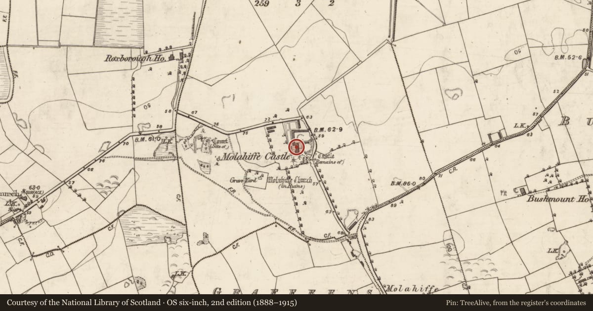 Ordnance Survey six-inch map, 2nd edition (1888–1915) covering the location of Country house, Castlefarm, County Kerry, with a pin at the register's coordinates