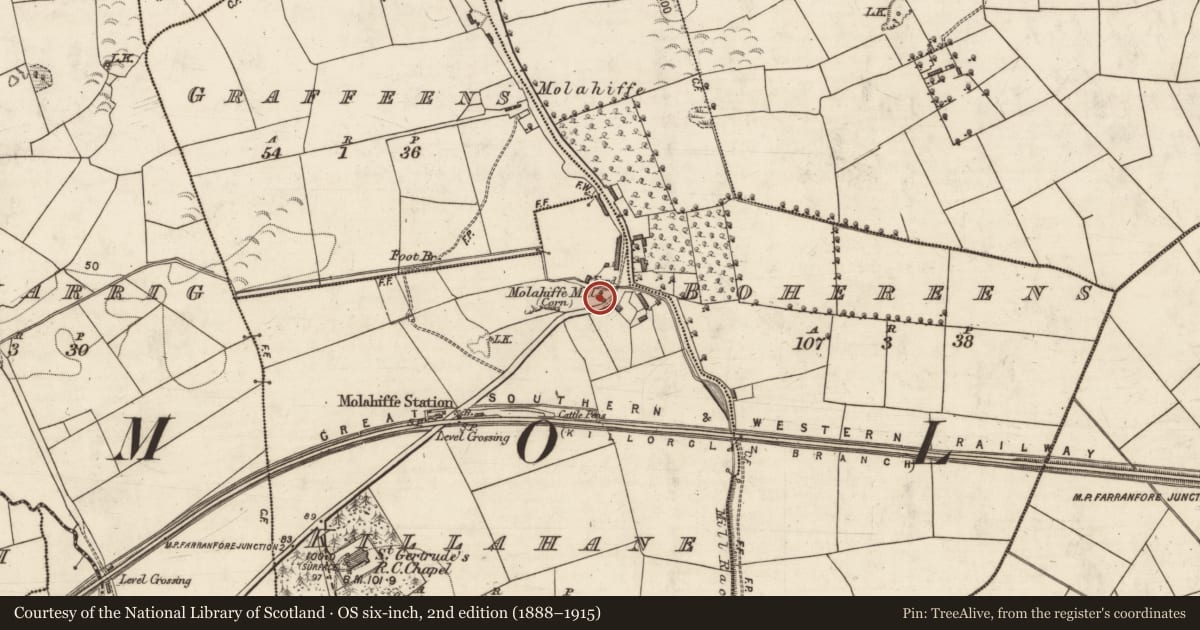 Ordnance Survey six-inch map, 2nd edition (1888–1915) covering the location of Mill - unclassified, Killahane, County Kerry, with a pin at the register's coordinates