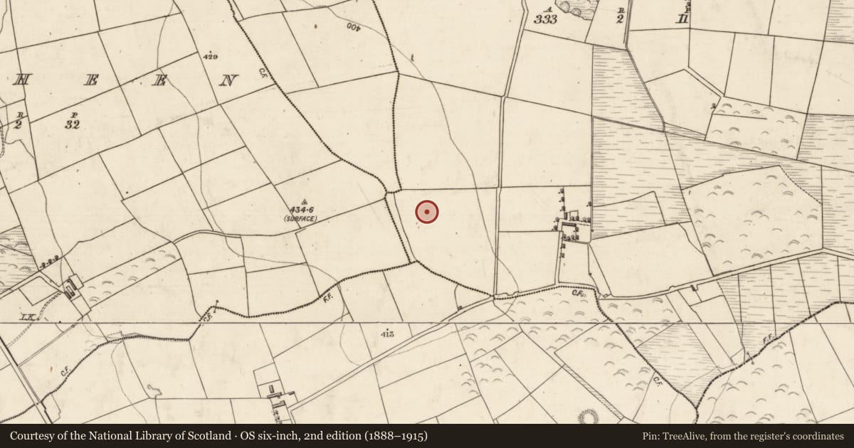 Ordnance Survey six-inch map, 2nd edition (1888–1915) covering the location of Children's burial ground, Gowlane, County Kerry, with a pin at the register's coordinates