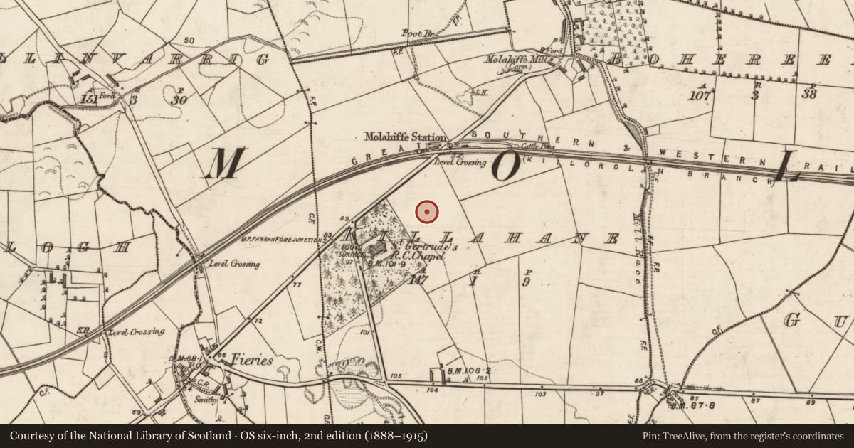 Ordnance Survey six-inch map, 2nd edition (1888–1915) covering the location of Ringfort - rath, Killahane, County Kerry, with a pin at the register's coordinates
