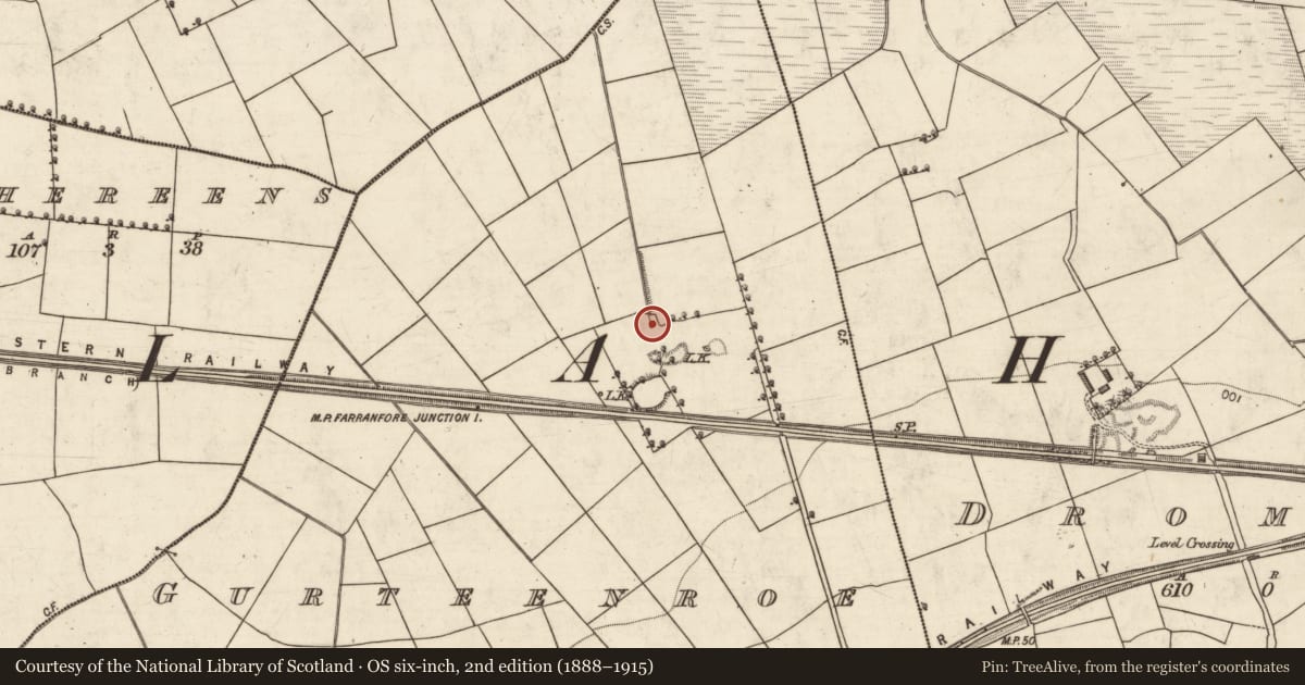 Ordnance Survey six-inch map, 2nd edition (1888–1915) covering the location of Bullaun stone, Gurteenroe, County Kerry, with a pin at the register's coordinates