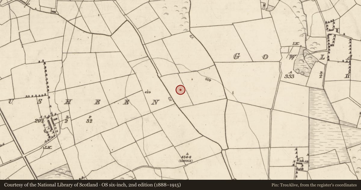 Ordnance Survey six-inch map, 2nd edition (1888–1915) covering the location of Standing stone, Rossmore, County Kerry, with a pin at the register's coordinates