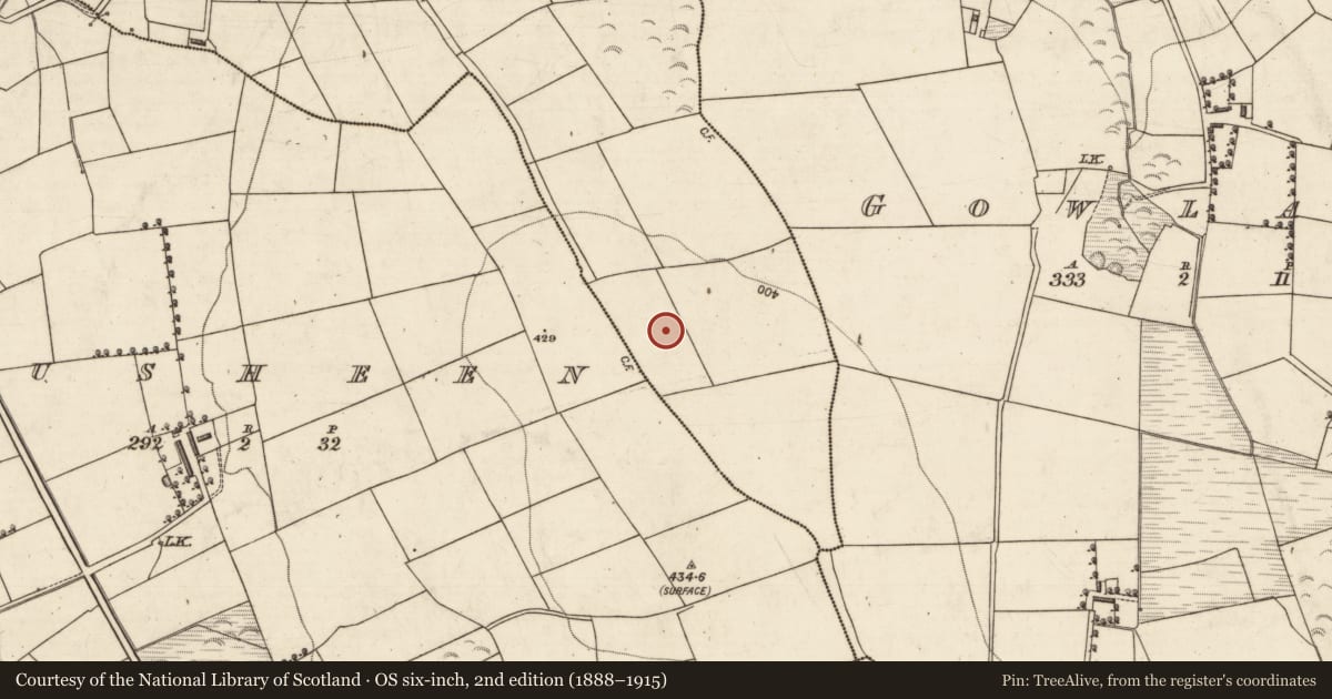 Ordnance Survey six-inch map, 2nd edition (1888–1915) covering the location of Standing stone, Rossmore, County Kerry, with a pin at the register's coordinates