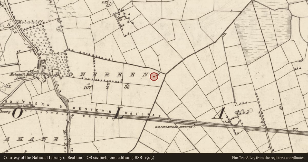 Ordnance Survey six-inch map, 2nd edition (1888–1915) covering the location of Enclosure, Bohereens, County Kerry, with a pin at the register's coordinates