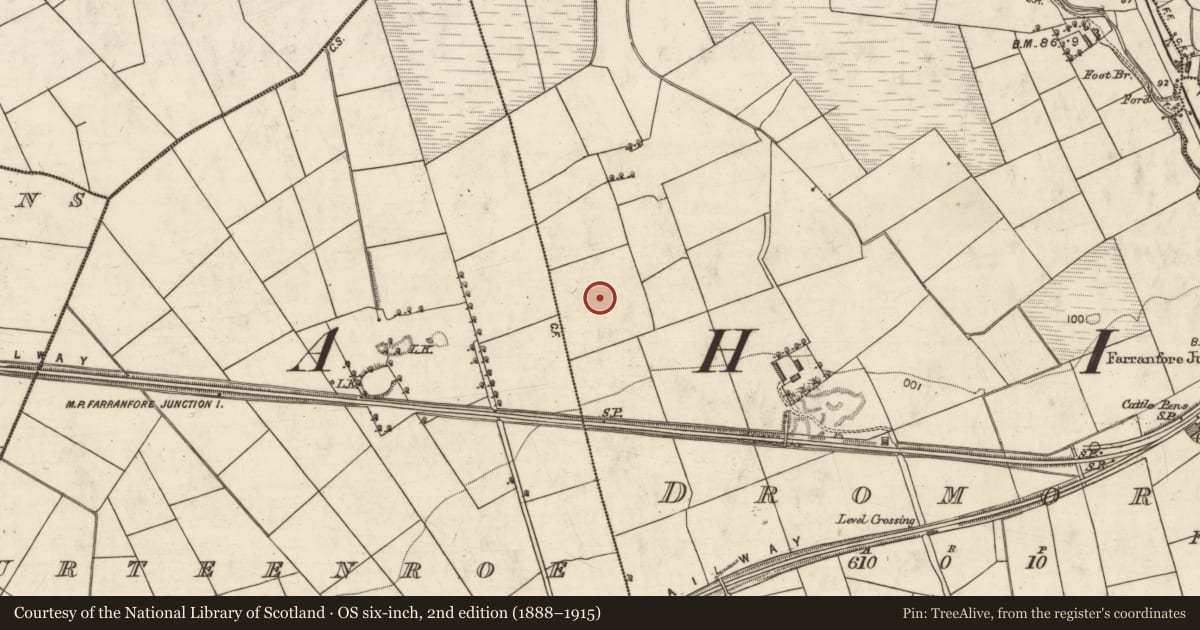 Ordnance Survey six-inch map, 2nd edition (1888–1915) covering the location of Enclosure, Dromore, County Kerry, with a pin at the register's coordinates