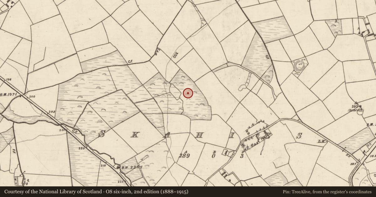 Ordnance Survey six-inch map, 2nd edition (1888–1915) covering the location of Castle - motte, Skahies, County Kerry, with a pin at the register's coordinates