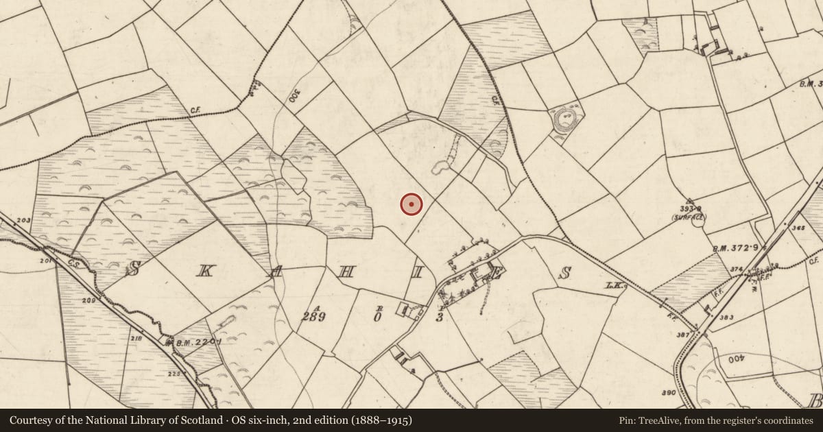 Ordnance Survey six-inch map, 2nd edition (1888–1915) covering the location of Enclosure, Skahies, County Kerry, with a pin at the register's coordinates