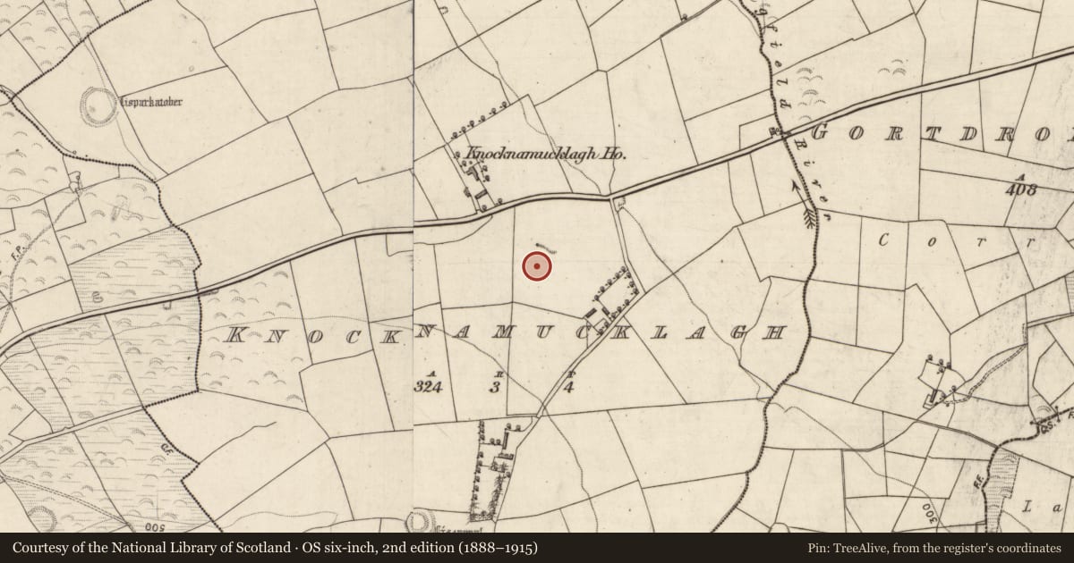 Ordnance Survey six-inch map, 2nd edition (1888–1915) covering the location of Enclosure, Knocknamucklagh, County Kerry, with a pin at the register's coordinates