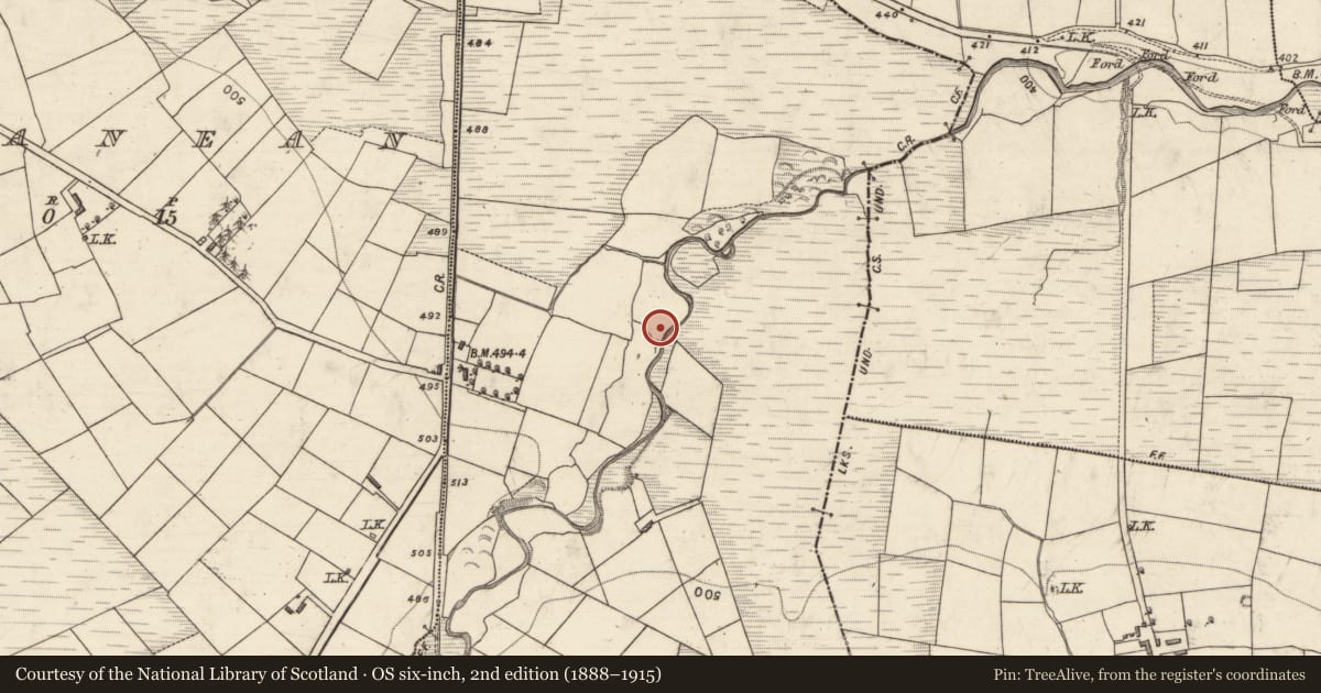 Ordnance Survey six-inch map, 2nd edition (1888–1915) covering the location of Enclosure, Reavaun, County Kerry, with a pin at the register's coordinates